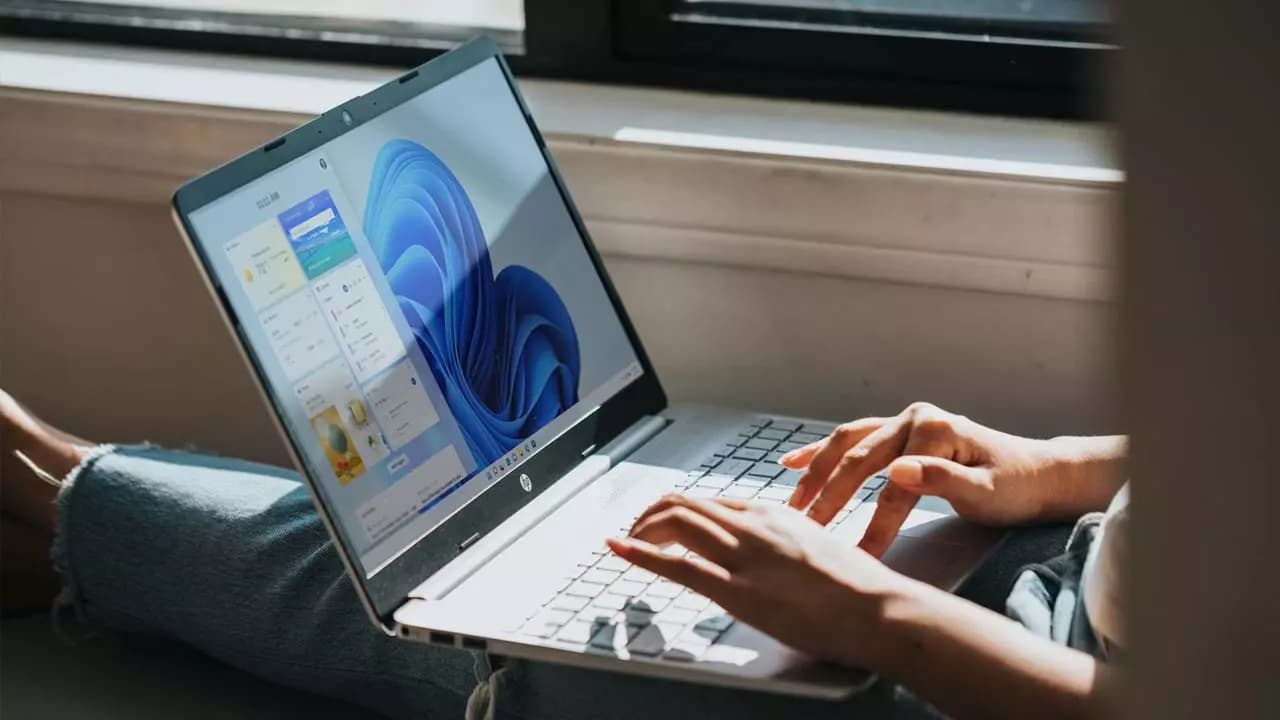 usuario windows 11 usuario windows 11