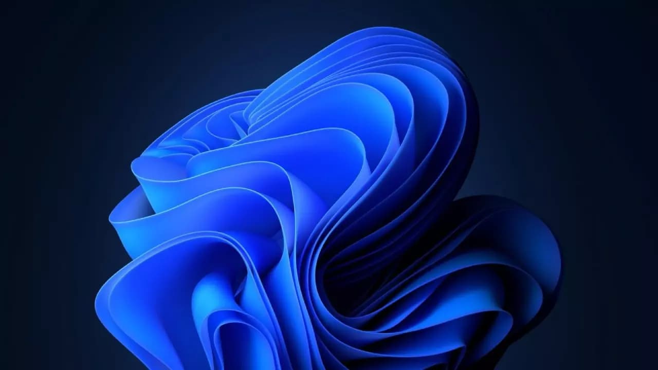 Windows-11-Bloom-Screensaver-Dar Windows-11-Bloom-Screensaver-Dar