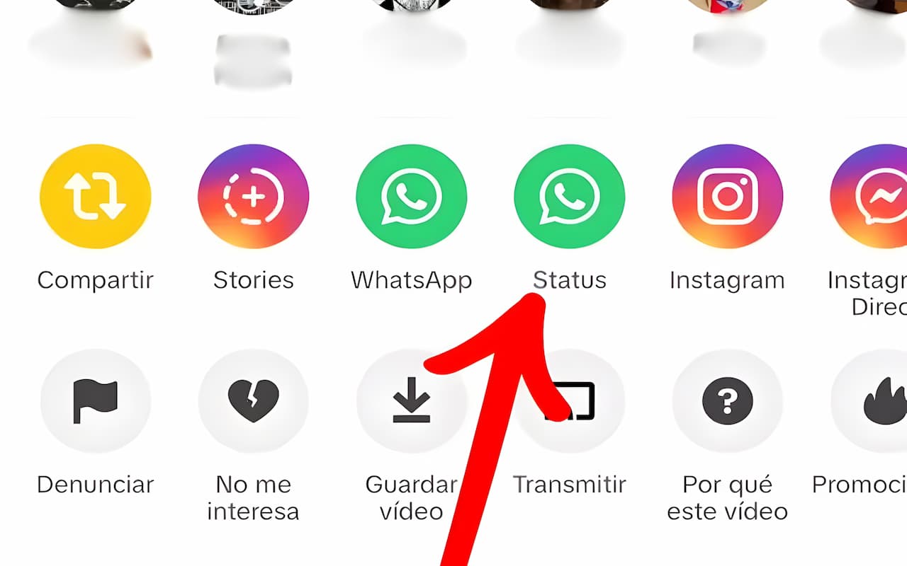 status whatsapp tiktok status whatsapp tiktok