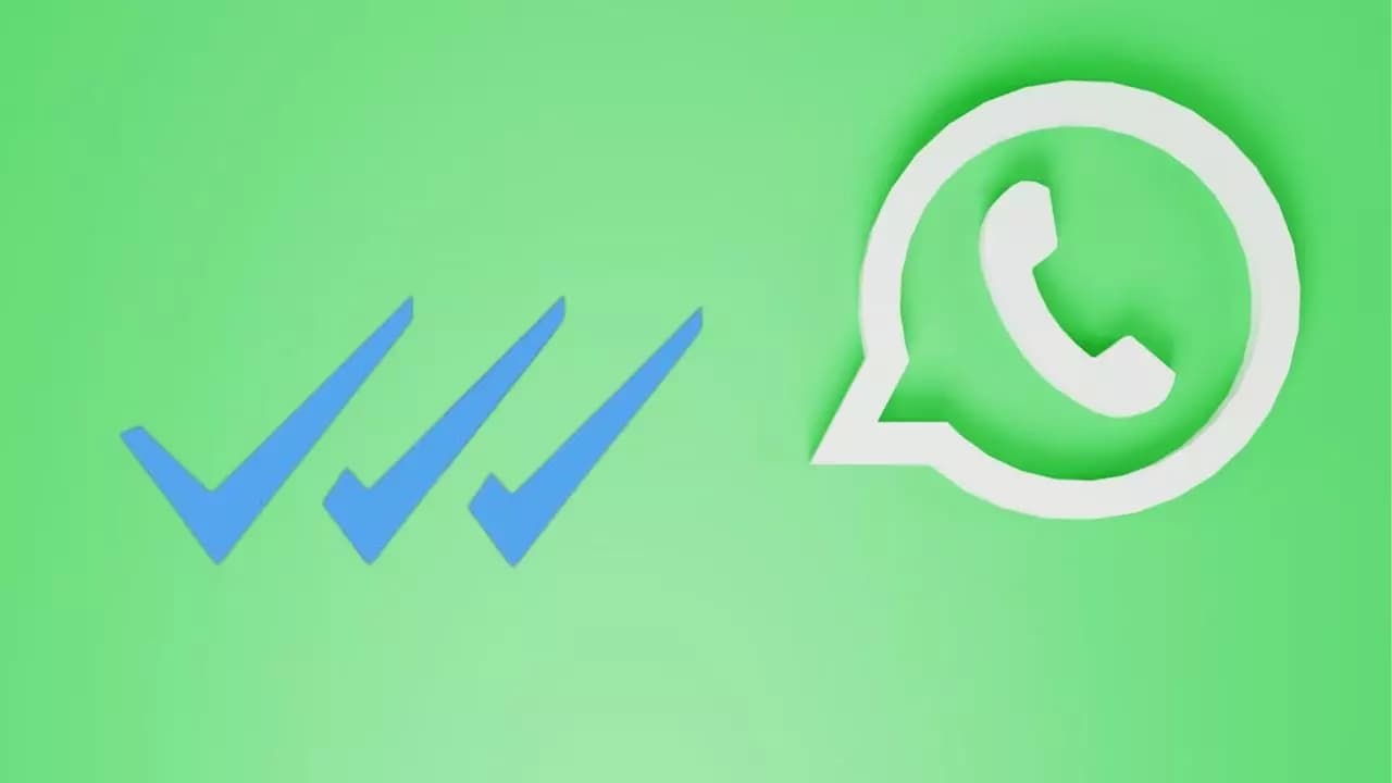 triple check azul whatsapp triple check azul whatsapp