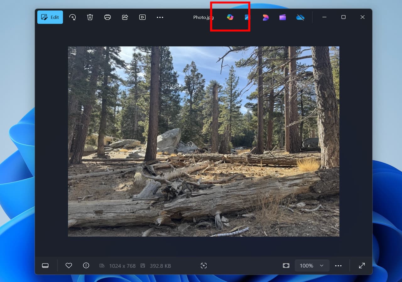 PhotosCopilotButton PhotosCopilotButton
