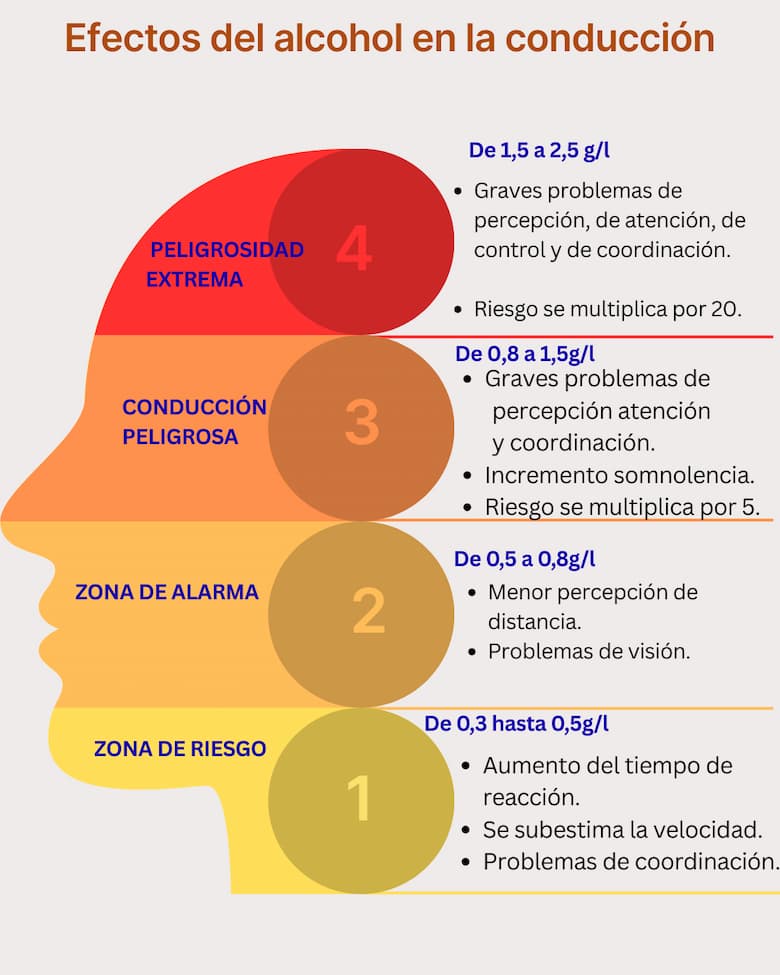 grafico-efectos-alcohol-conduccion-dgt