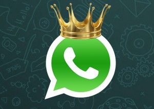 whatsapp rey