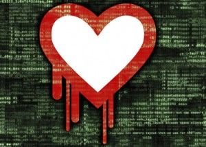 heartbleed google