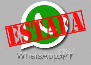 whatsapp spy