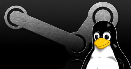 steam linux